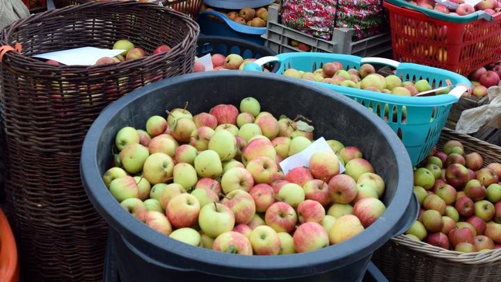 In der neuen Pasteuranlage werden u.a. verschiedene regionale Apfelsorten verarbeitet. (Foto: Birgit Schunk für die RAG Henneberger Land e.V.)