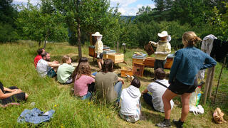 Bienenworkshop am Naturlehrpfad (Quelle: RAG Saalfeld-Rudolstadt)