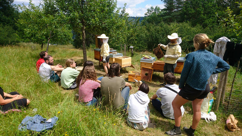 Bienenworkshop am Naturlehrpfad, Bild: Quelle: RAG Saalfeld-Rudolstadt